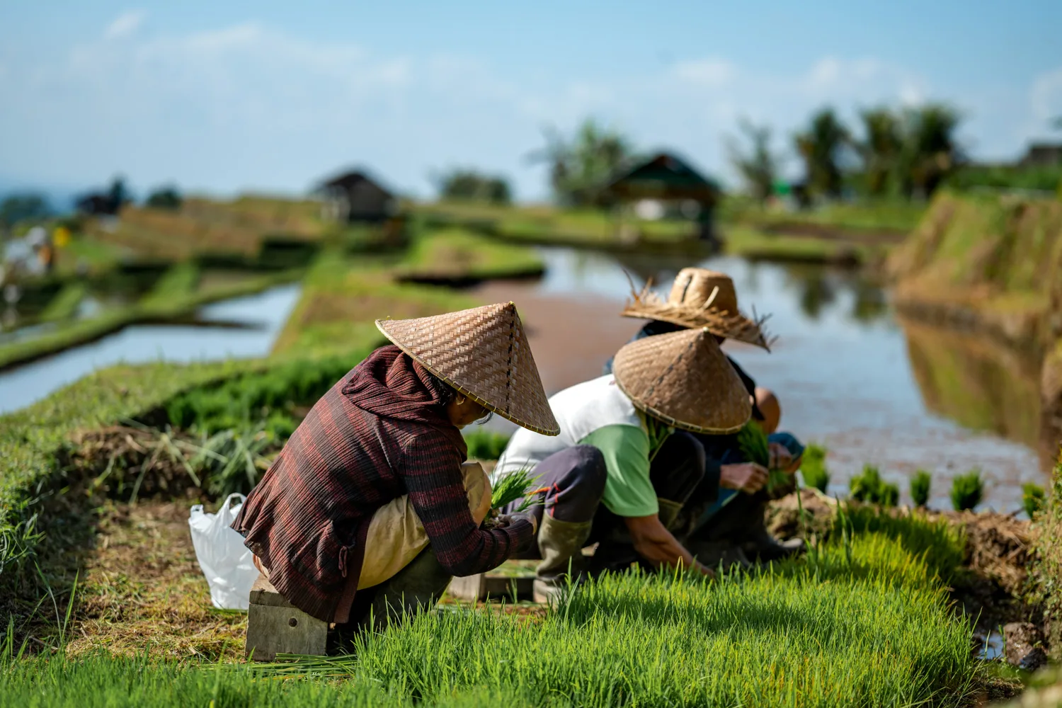ubud