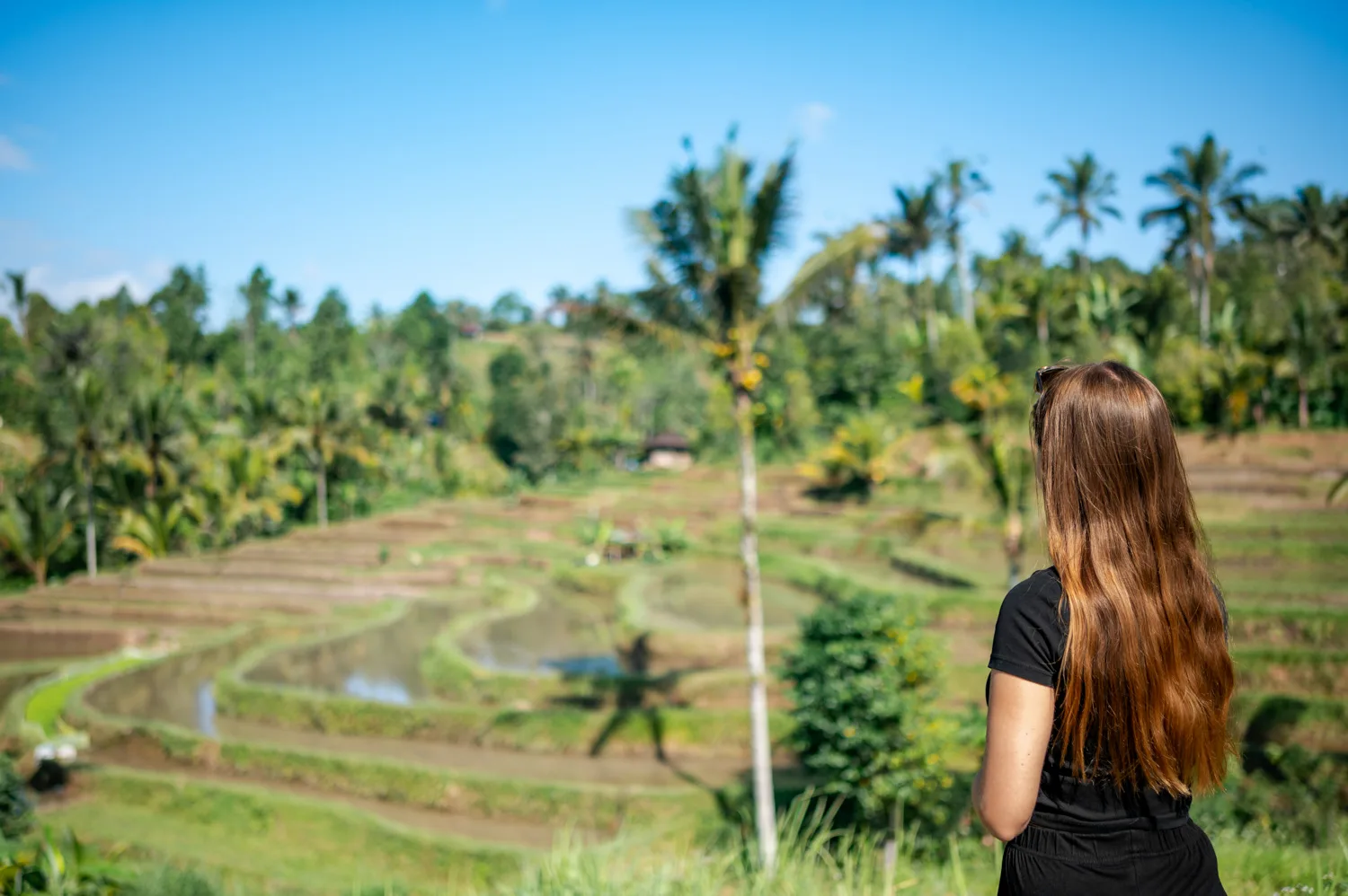 ubud