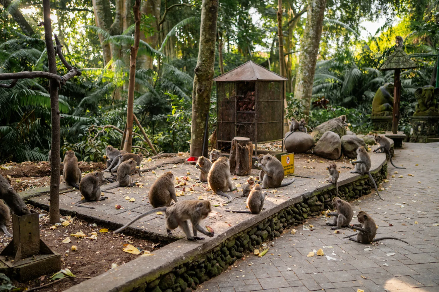 ubud