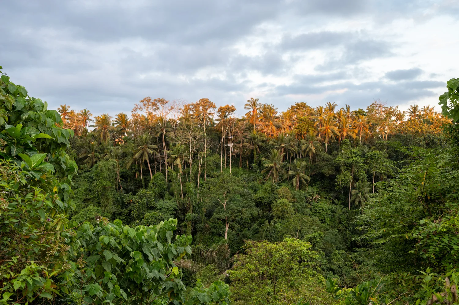 ubud