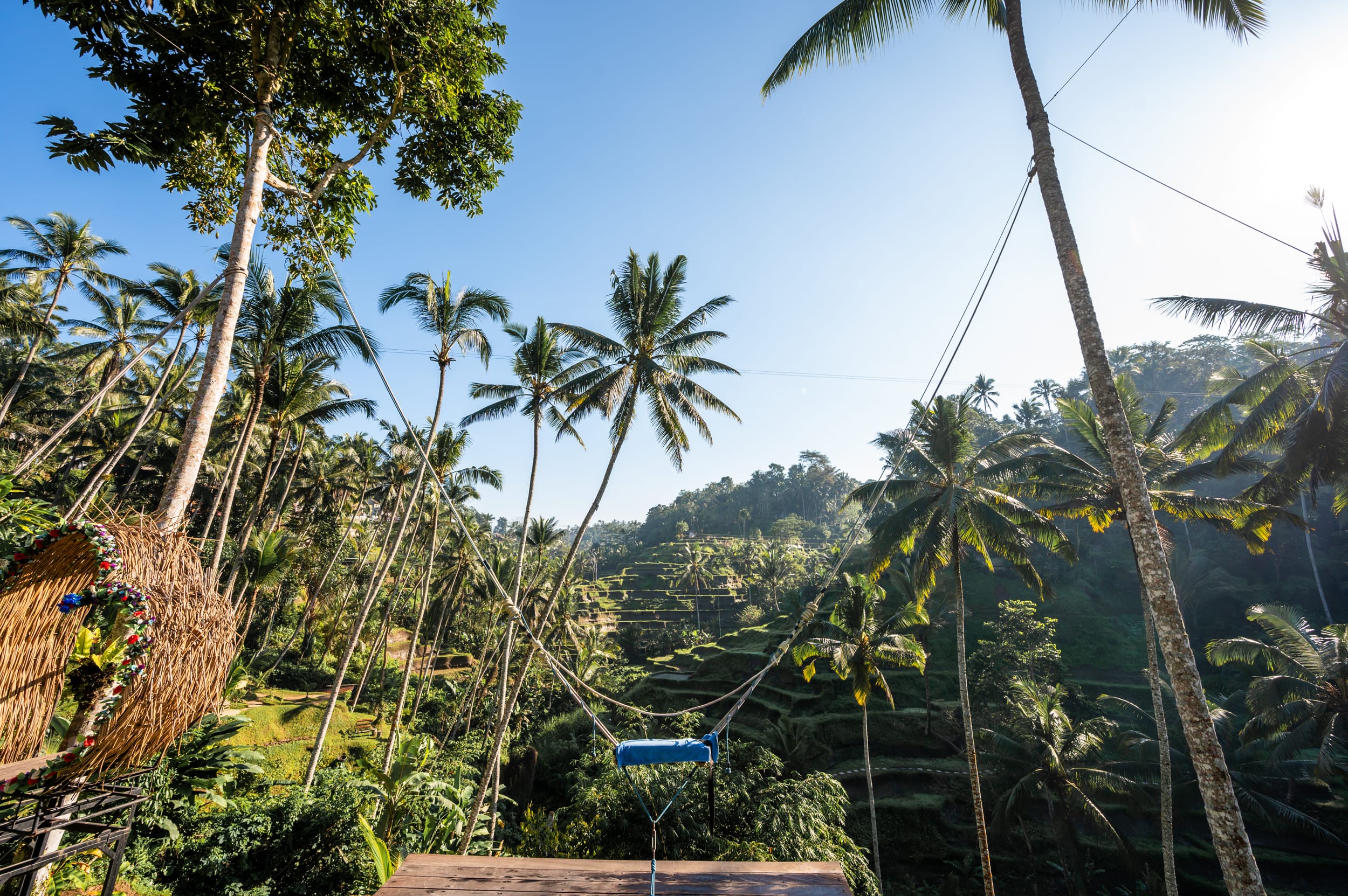 Reisfelder in der Umgebung von Ubud auf Bali