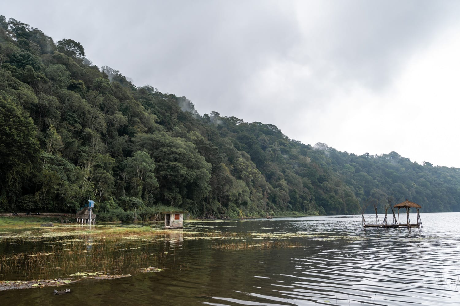 Ufer des Tamblingan Sees in Munduk auf Bali