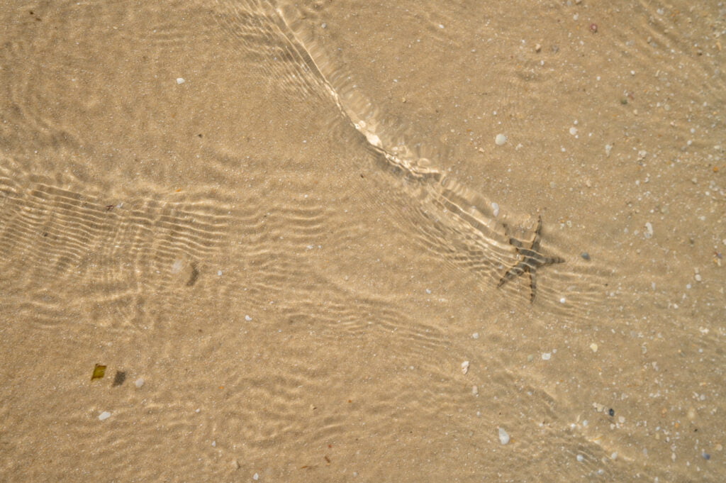 seestern am pearl beach koh mook