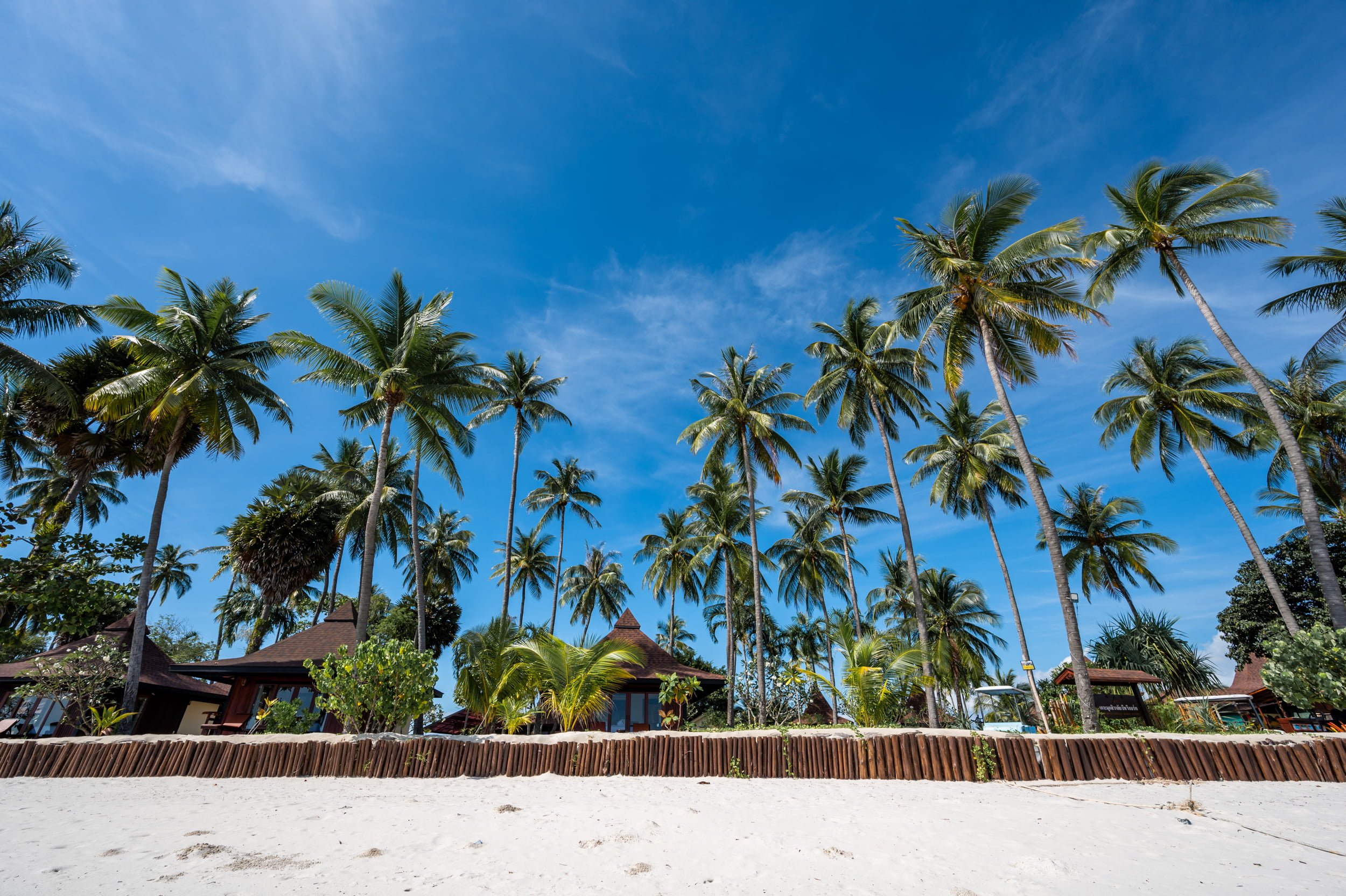 palmen am pearl beach koh mook palmen am pearl beach koh mook