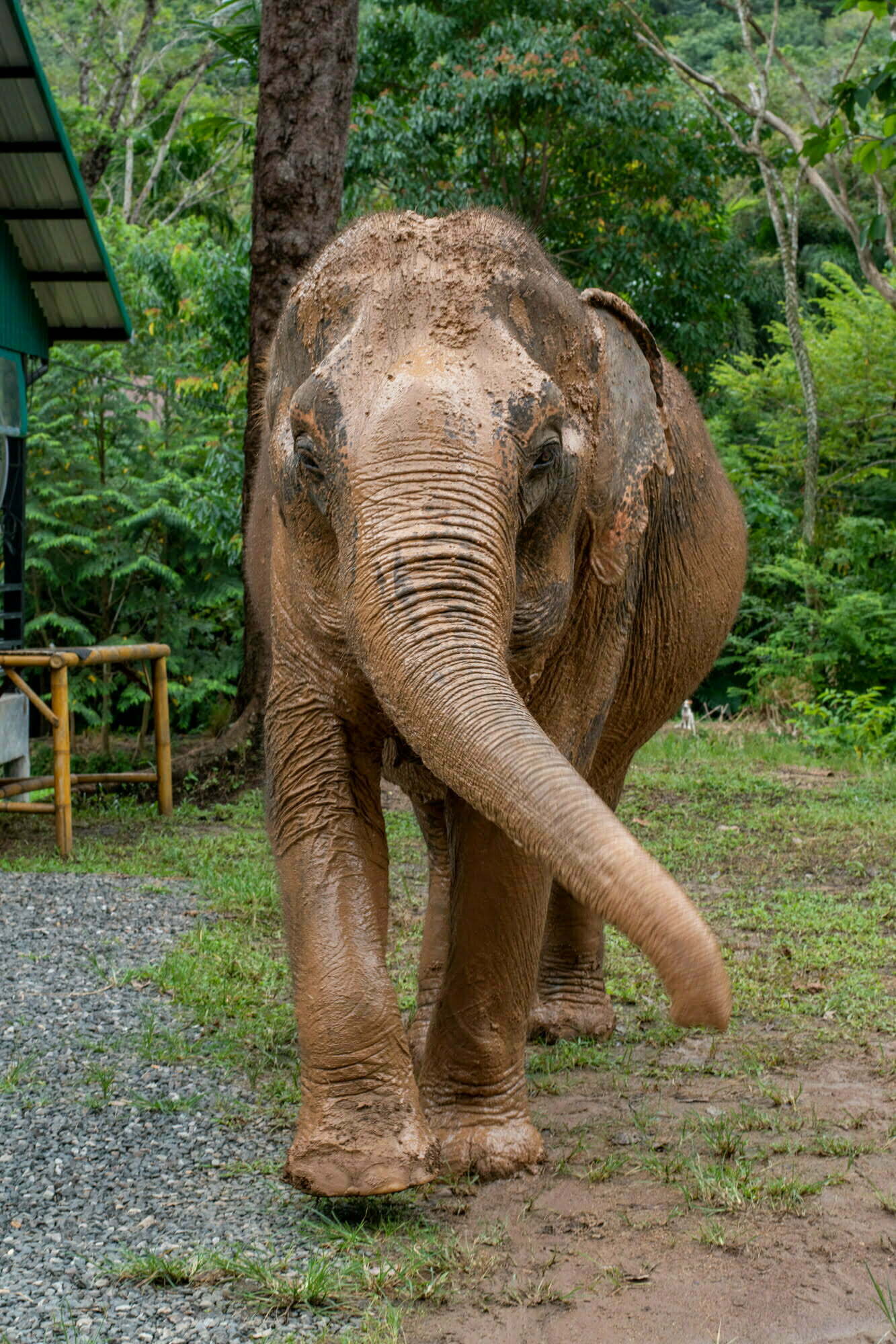 VBM-776 phuket