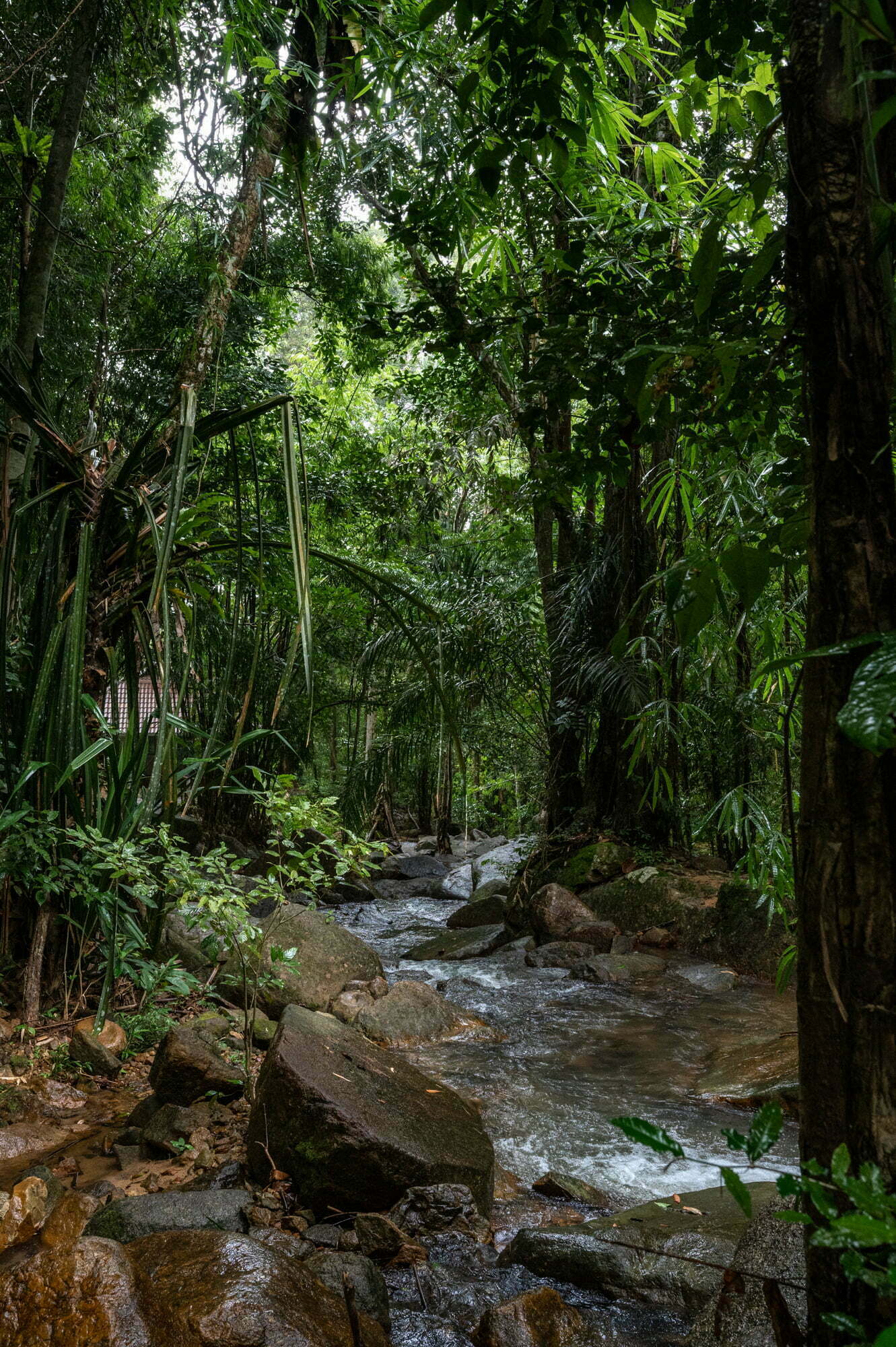 VBM_1451 phuket