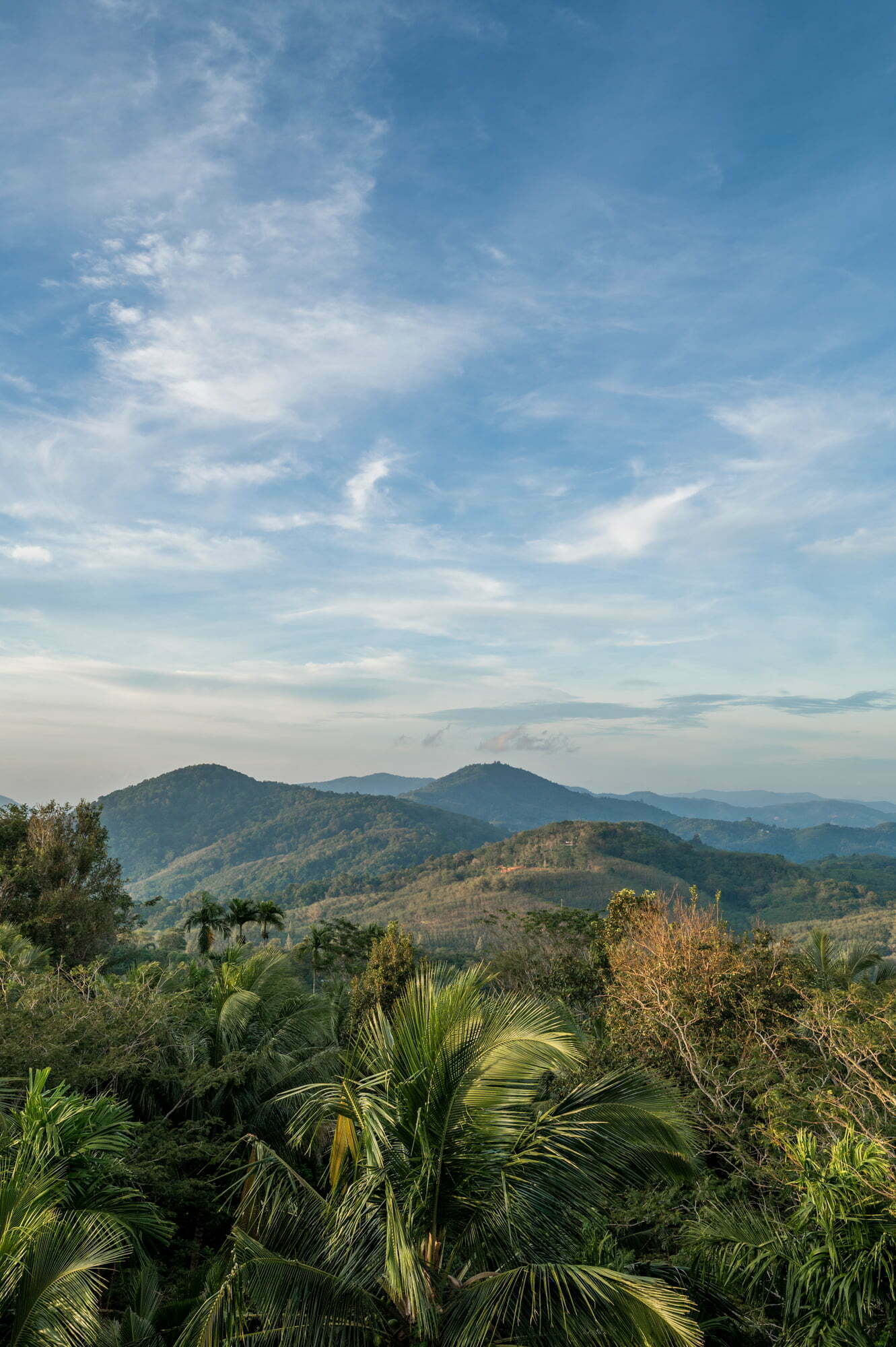 VBM_2367 phuket