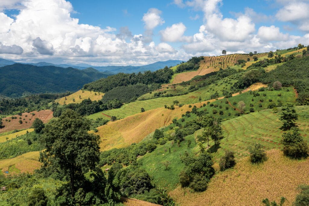 chiang rai