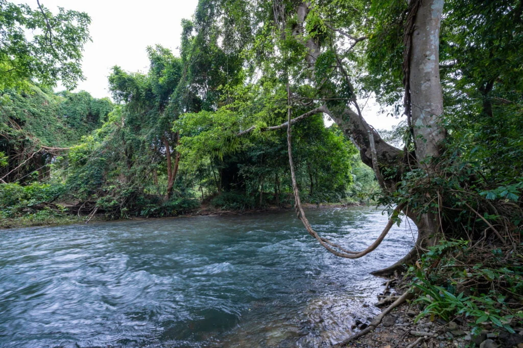 sok river