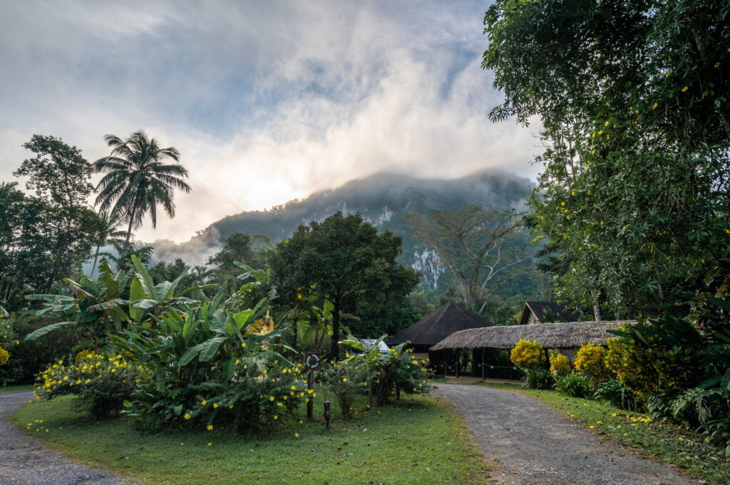 our jungle camp khao sok