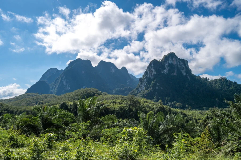 khao sok nationalpark kalksteinberge