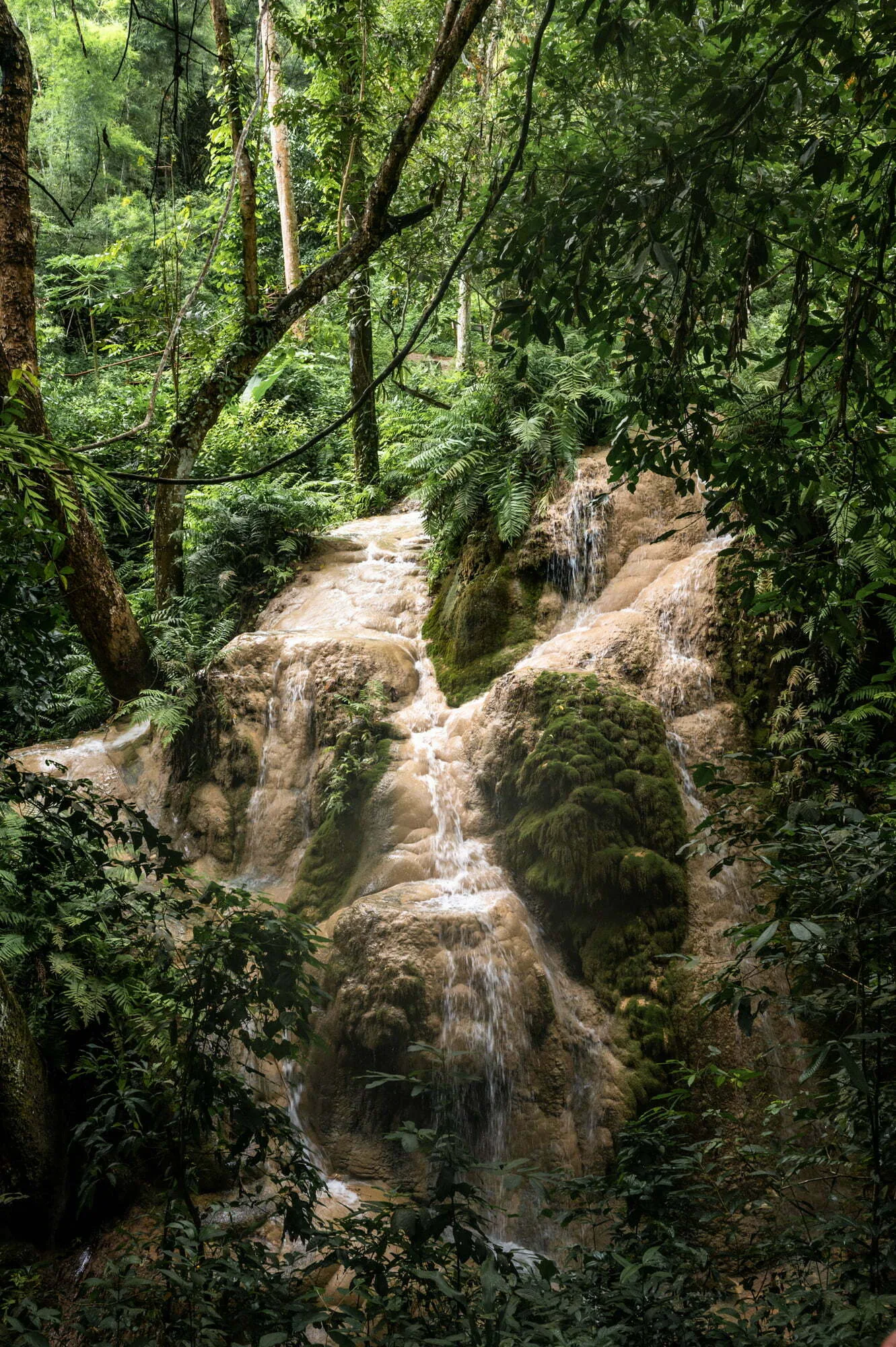 Bua Tong Sticky Waterfall Bua Tong Sticky Waterfall Chiang Mai unterste Ebene