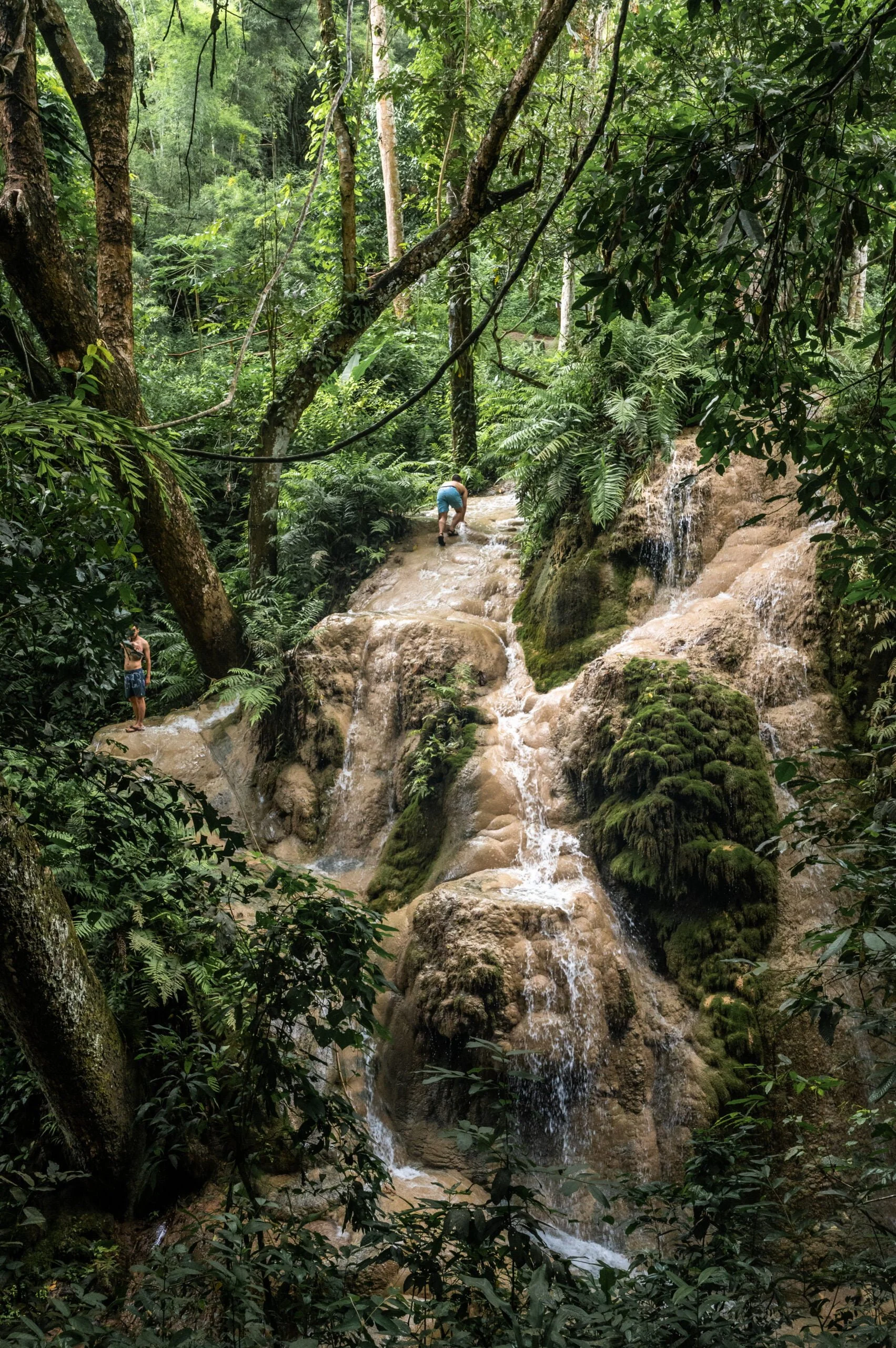 Ein Mann klettert den Bua Tong Sticky Waterfall hinauf