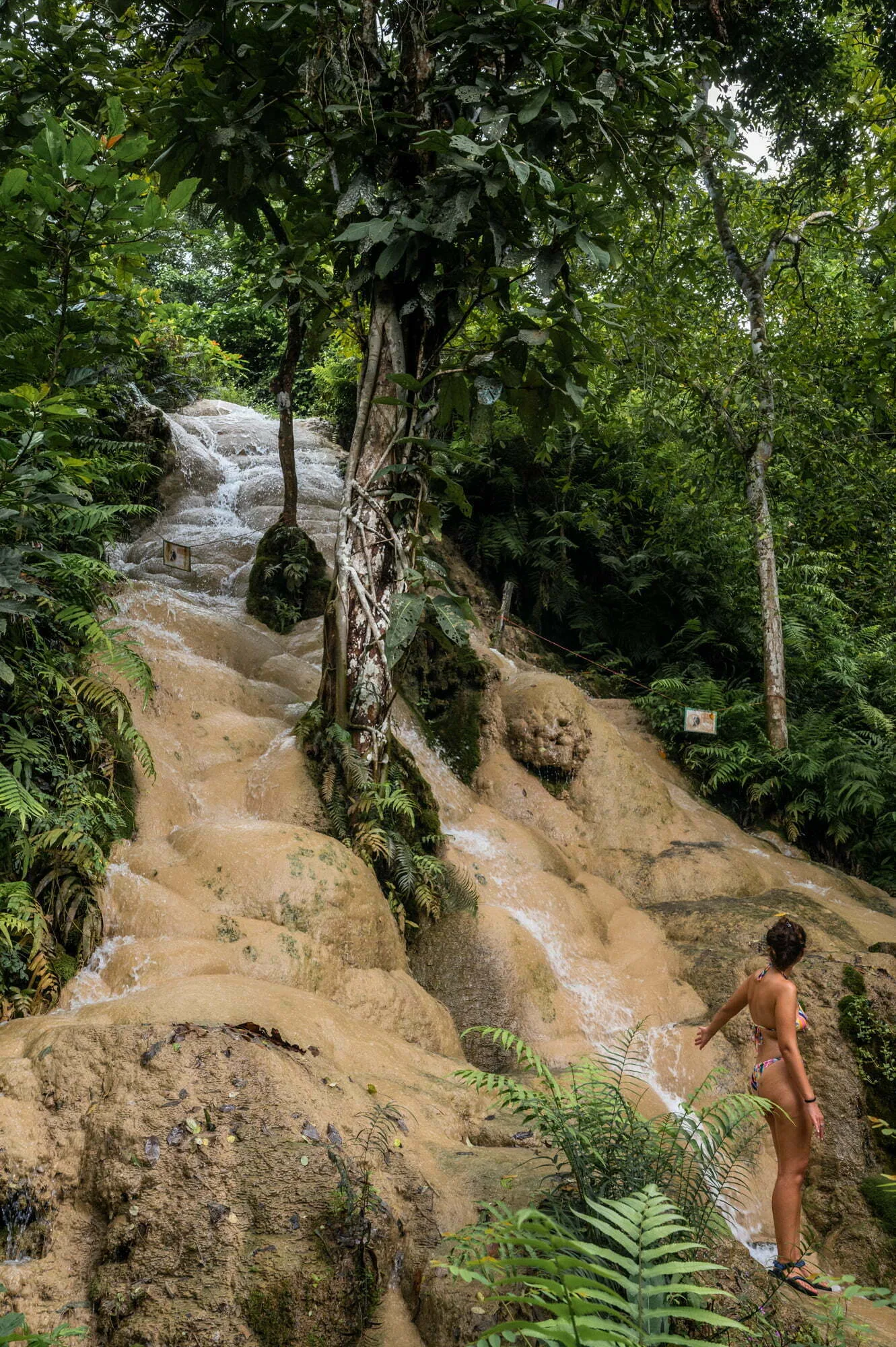 Sticky Waterfall Chiang Mai klettern Frau klettert den Sticky Waterfall in Chinag Mai hinauf