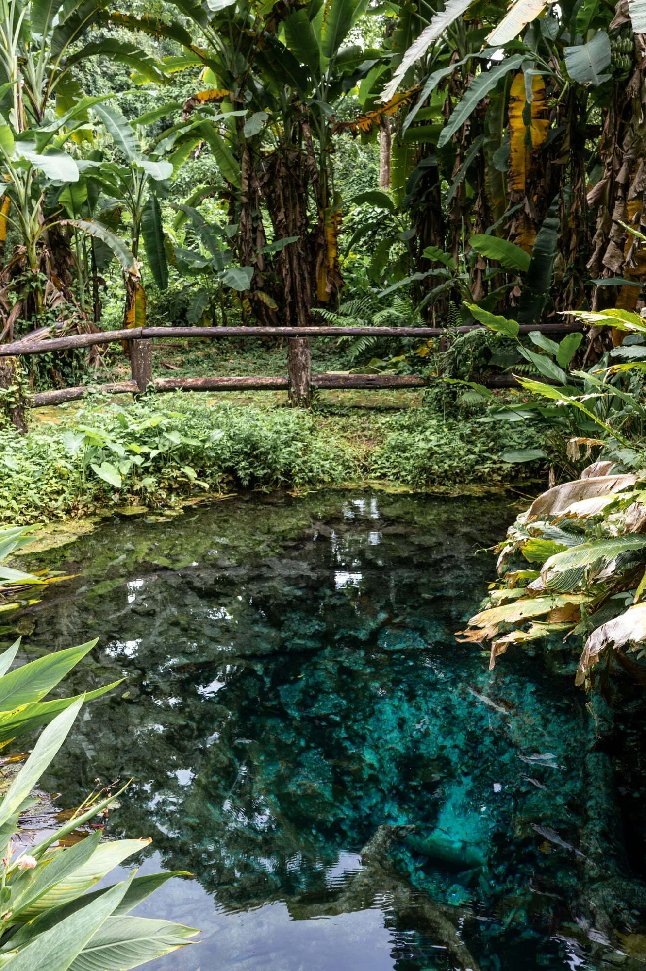 Nam Phu Chet Si Quelle Nam Phu Chet Si Quelle Chiang Mai