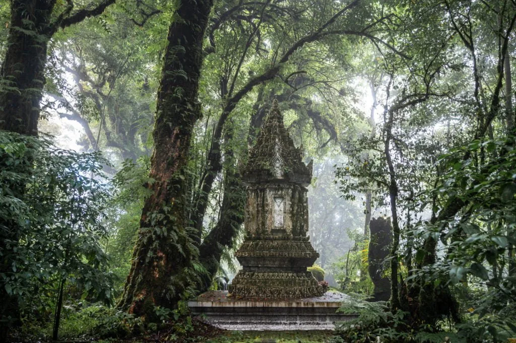 nebelwald im doi inthanon nationalpark