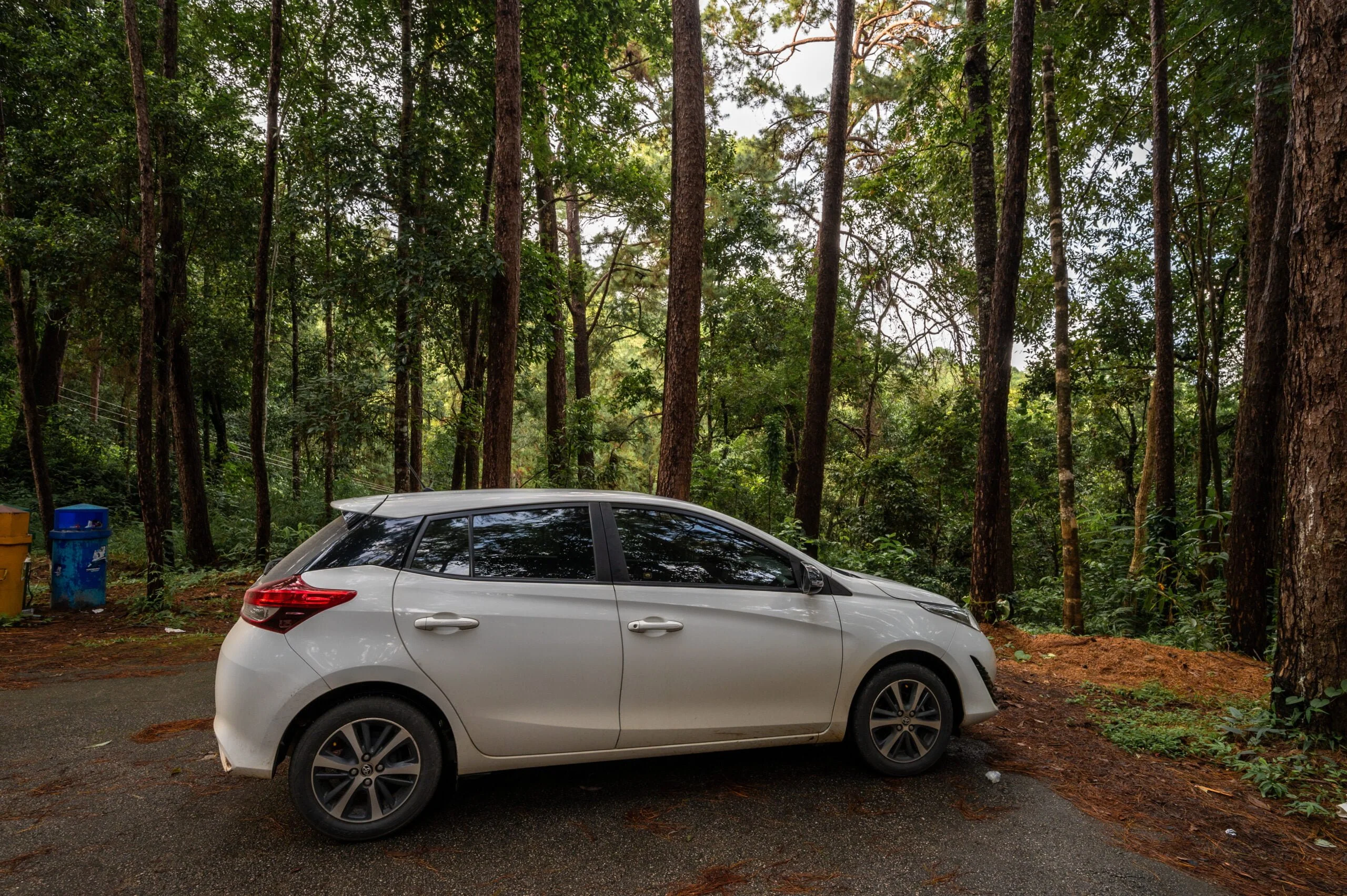 Auto im Bo Kaeo Pine Tree Garden auf dem Mae Hong Son Loop