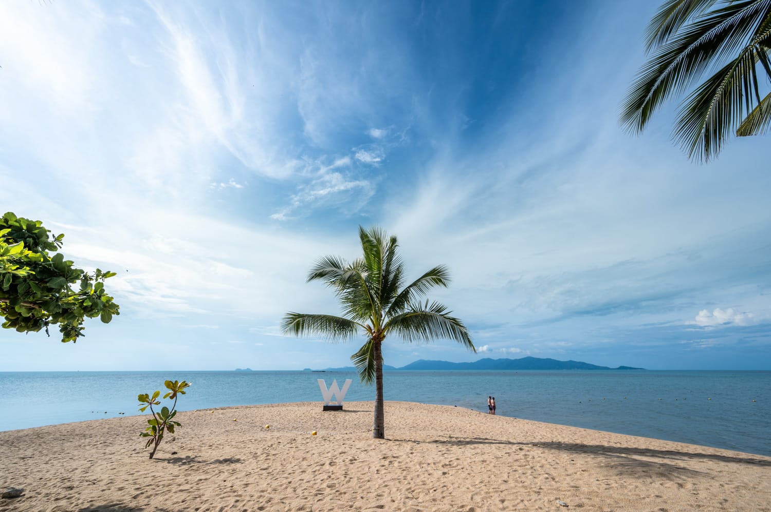 W Beach Koh Samui (1) Palme an der Sandzunge des W-Beach auf Koh Samui