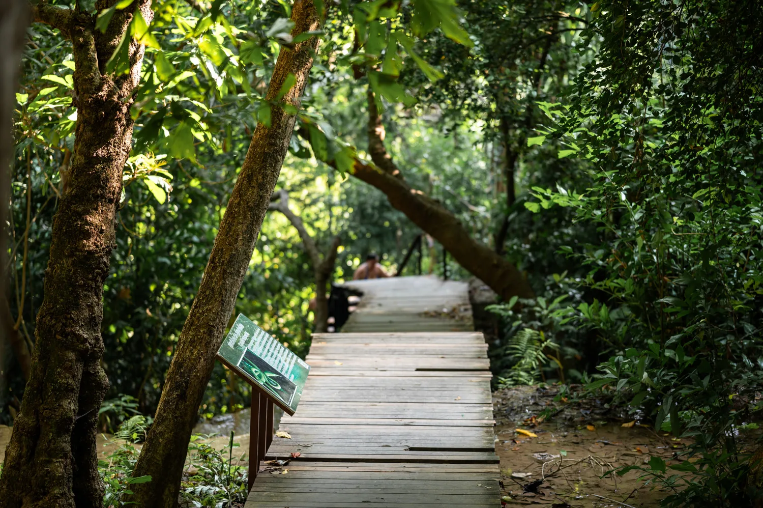 Wanderung Erawan Wasserfall Wanderweg am Erawan Wasserfall