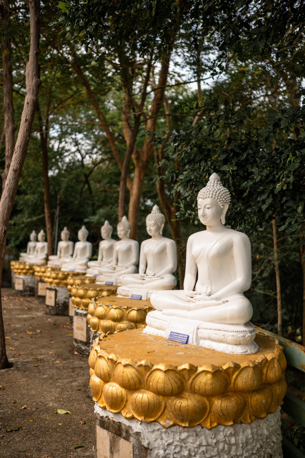 Wat Phra Chedi Laem Sor und Wat Khao Chedi Weiße Buddhastatuen in der Pagode am Wat Phra Chedi Laem Sor auf Koh Samui