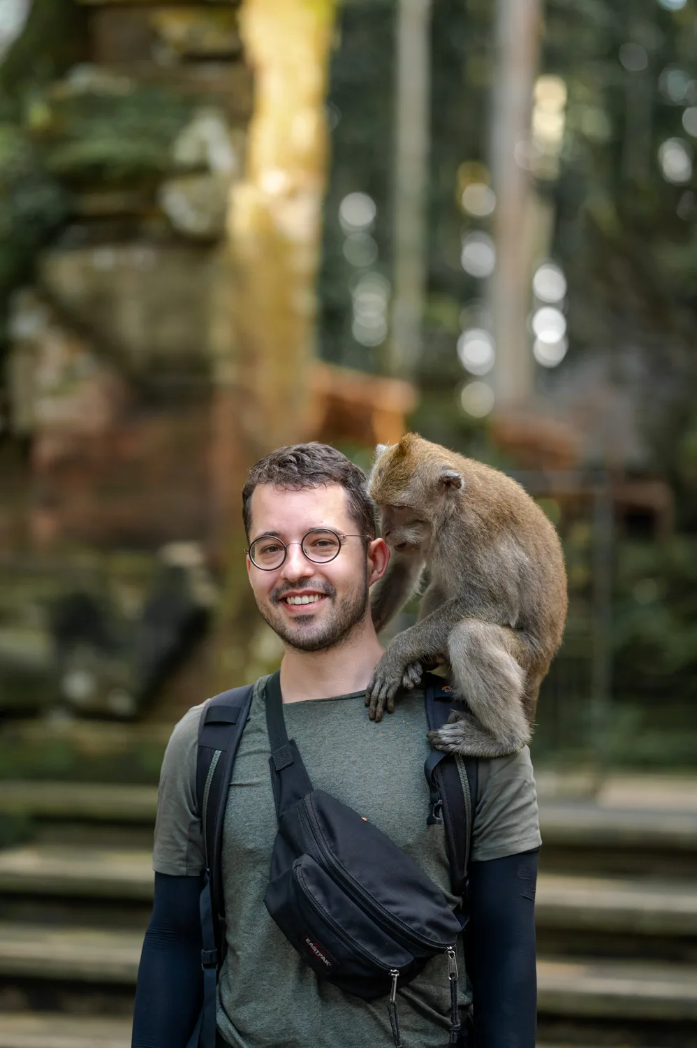 Affe klettert im Sangeh Monkey Forest auf Alex Schulter