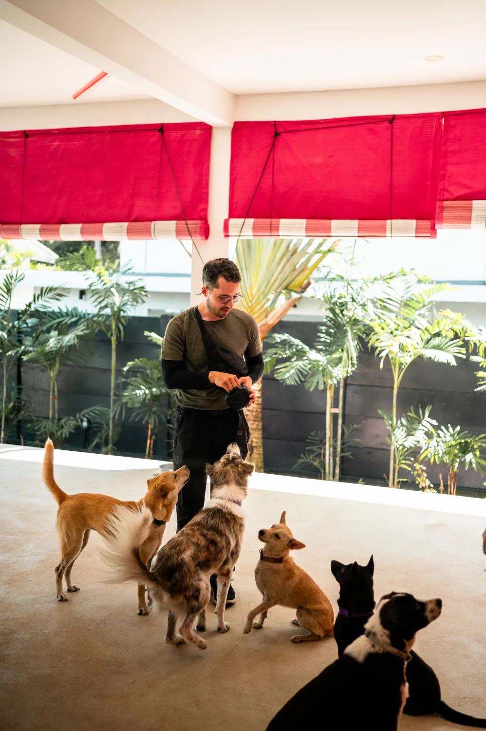Alex füttert die Hunde im Mission Pawsible