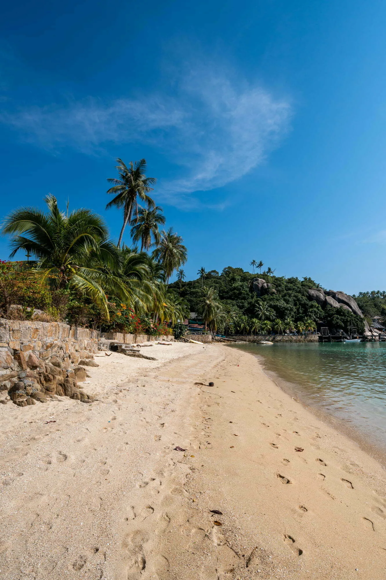 chalok bay (3) koh tao