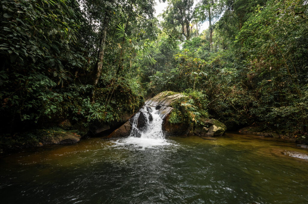 Fish Spa und natürliches Schwimmbecken am Ton Chong Fa Wasserfall