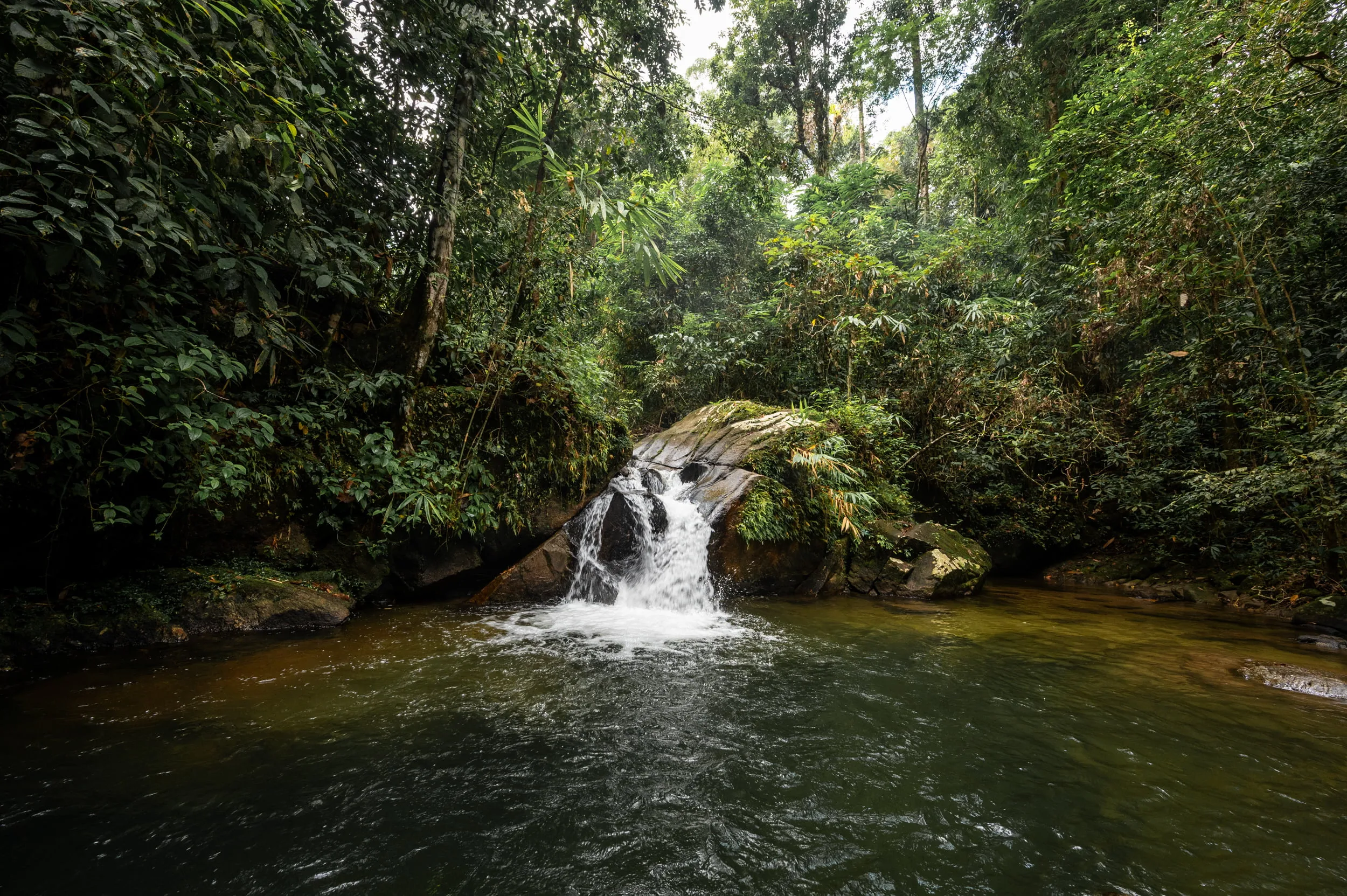 khao lak wasserfaelle (2) Fish Spa und natürliches Schwimmbecken am Ton Chong Fa Wasserfall