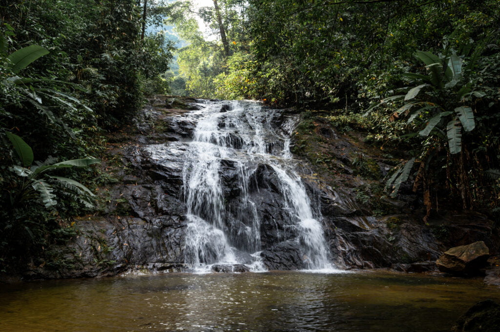 Entlang der Wanderung zum Ton Chong Fa Wasserfall