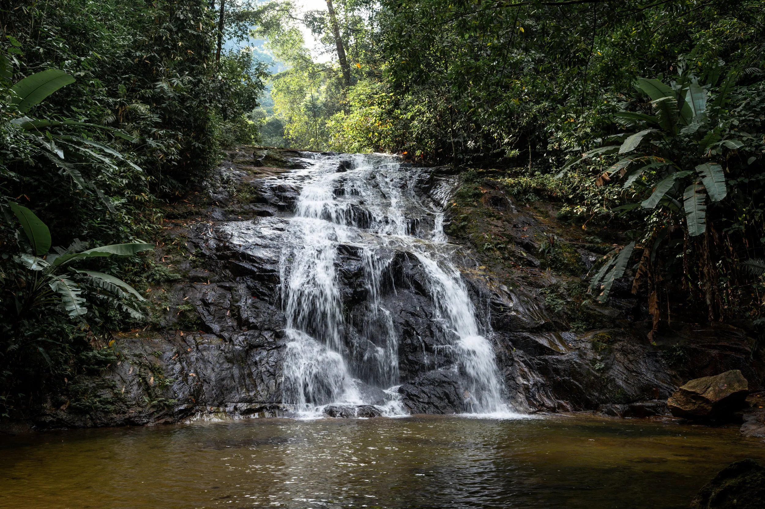 khao lak wasserfaelle (3) Entlang der Wanderung zum Ton Chong Fa Wasserfall