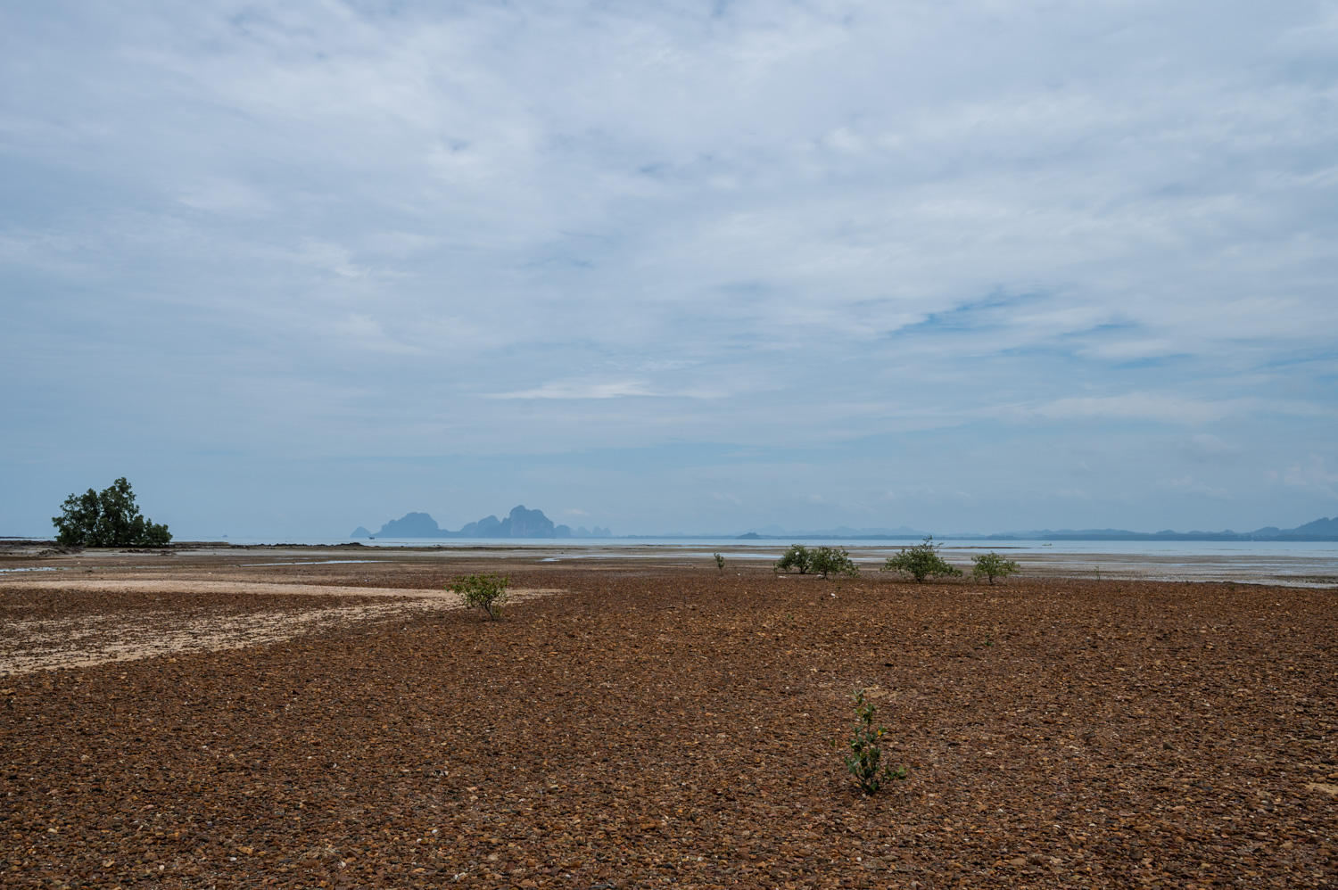 koh mook hotels (14) Das Meer zieht sich an der Küste westlich des Koh Mooks Pier bei Ebbe sehr weit zurück