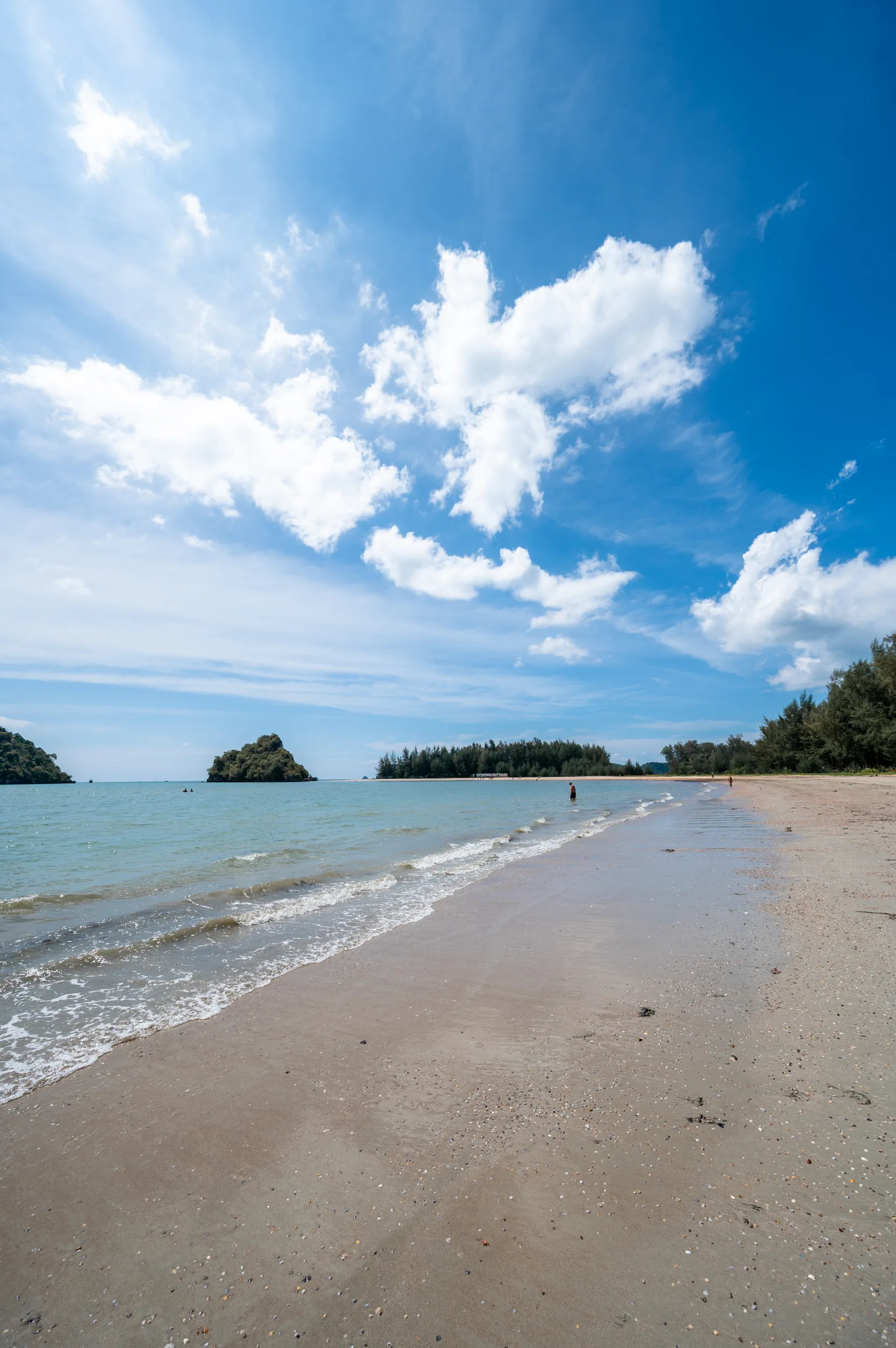 krabi hotel empfehlung (11) Blick auf Nadelnäume am Nopharat Thara Beach.