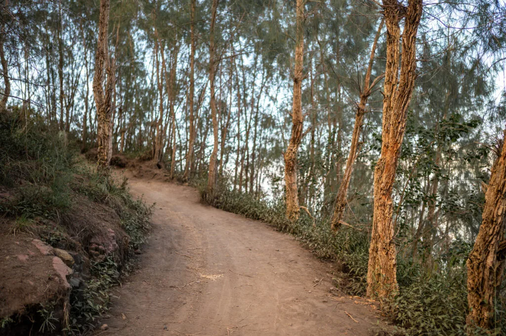 Wanderweg auf den Mount Batur