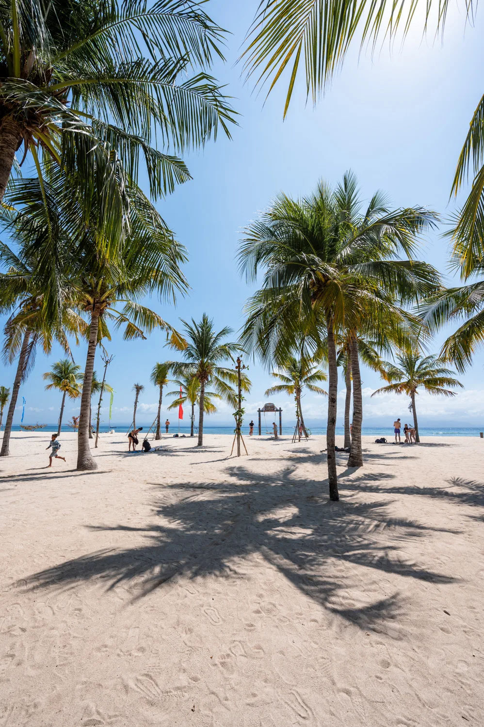 nusa lembongan strände (27) Palmen am White Sand Beach