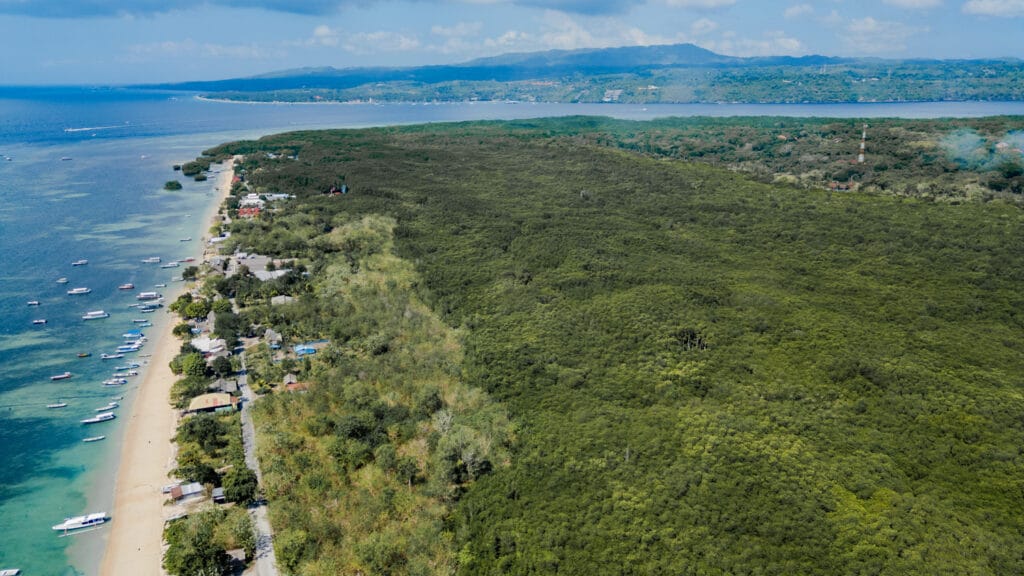 Drohnenfoto des ruhigen Abschnitt des Jungutbatu Beach an der Nordküste mit angrenzenden Mangroven