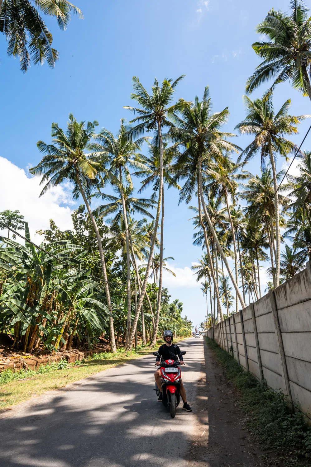 Alex auf dem Motorroller entlang der palmengesäumten Straße zur Crystal Bay auf Nusa Penida