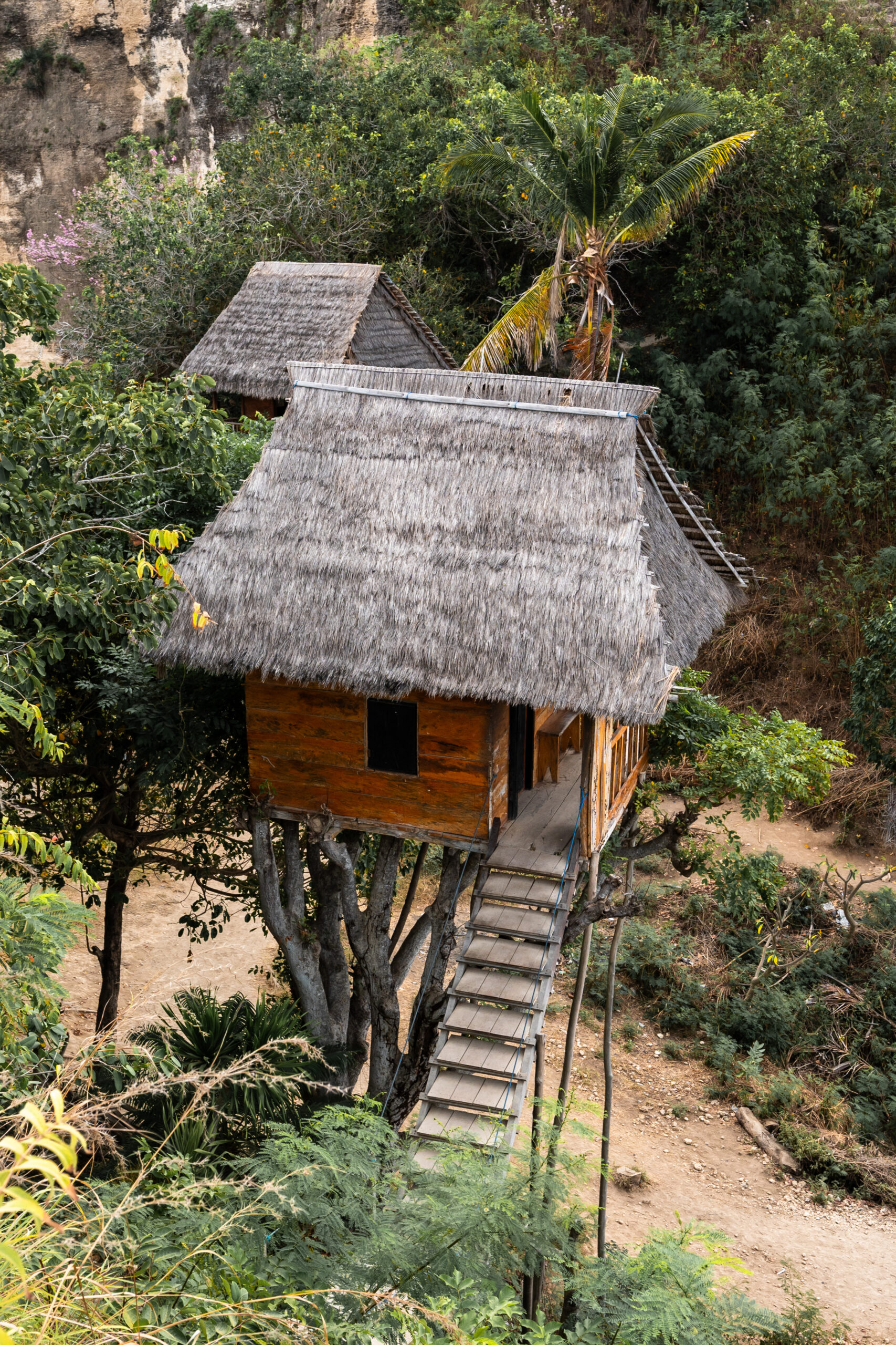 nusa penida sehenswuerdigkeiten (26) Nusa Penida Tree House