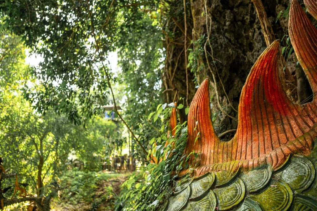 Drachenrücken im Wat Tham Tapan