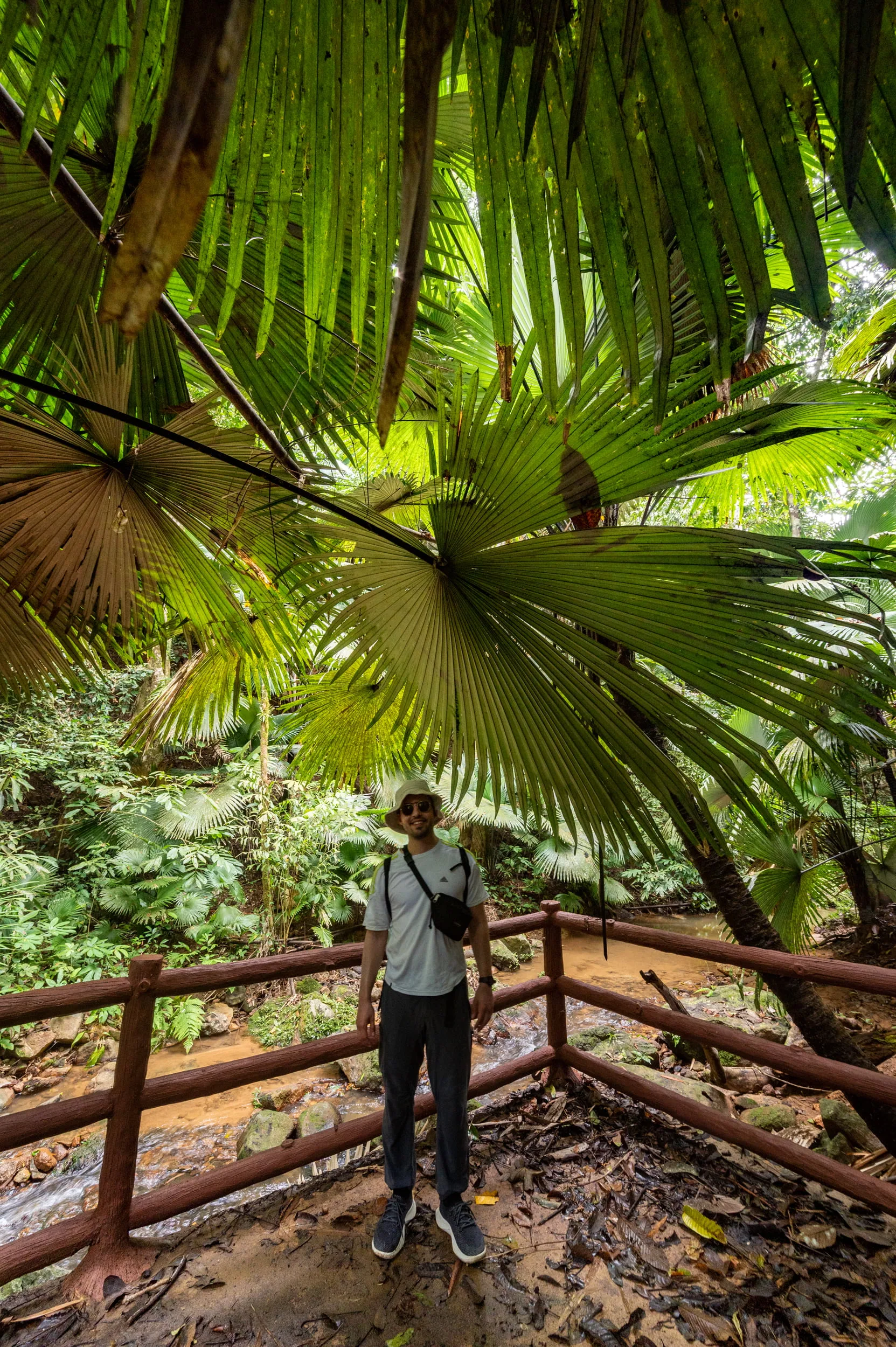 phuket sehenswürdigkeiten (10) Alex auf der Wanderung vom Ton Sai Wasserfall zum Bang Pae Wasserfall