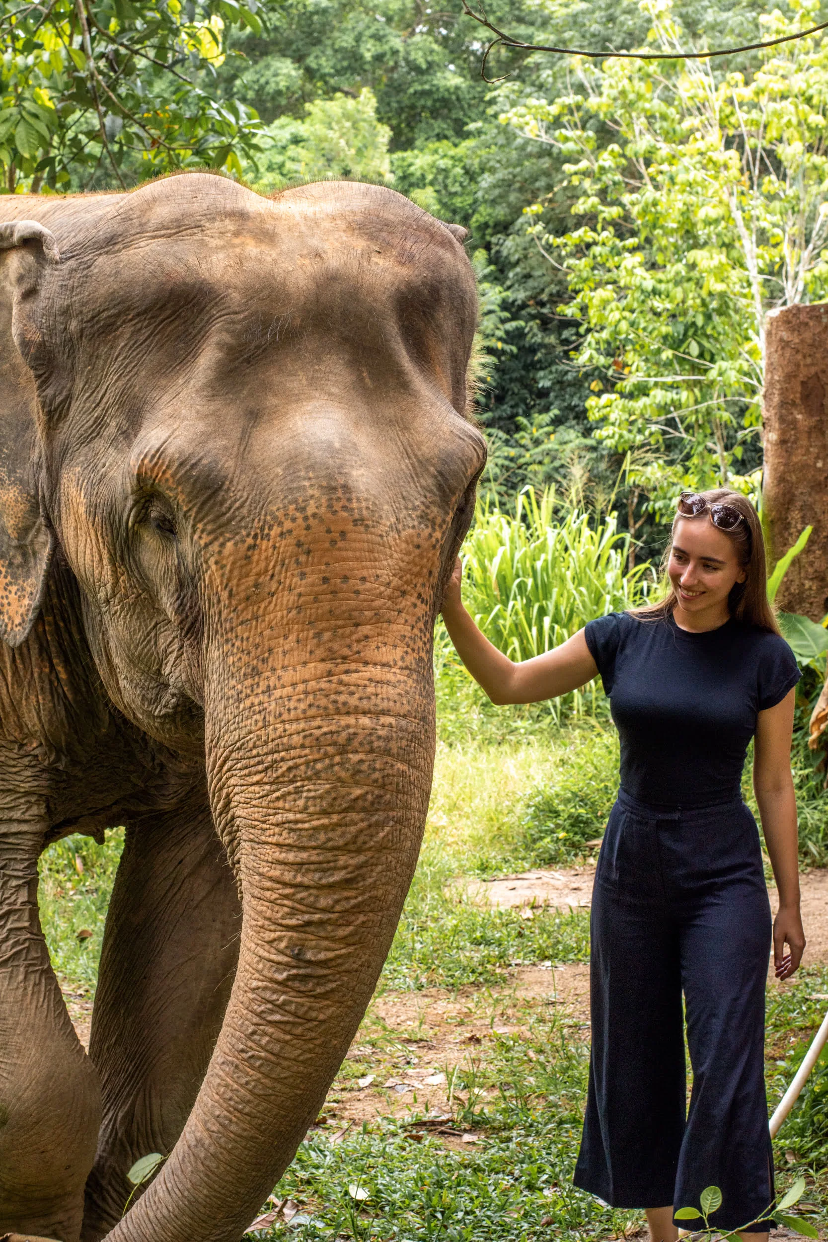 phuket sehenswürdigkeiten (29) Vanessa in einem Elefantencamp auf Phuket
