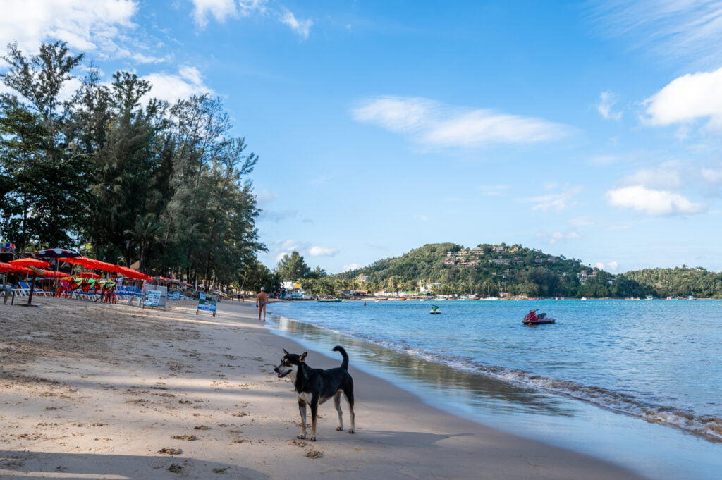 Ausblick auf den Bang Tao Beach