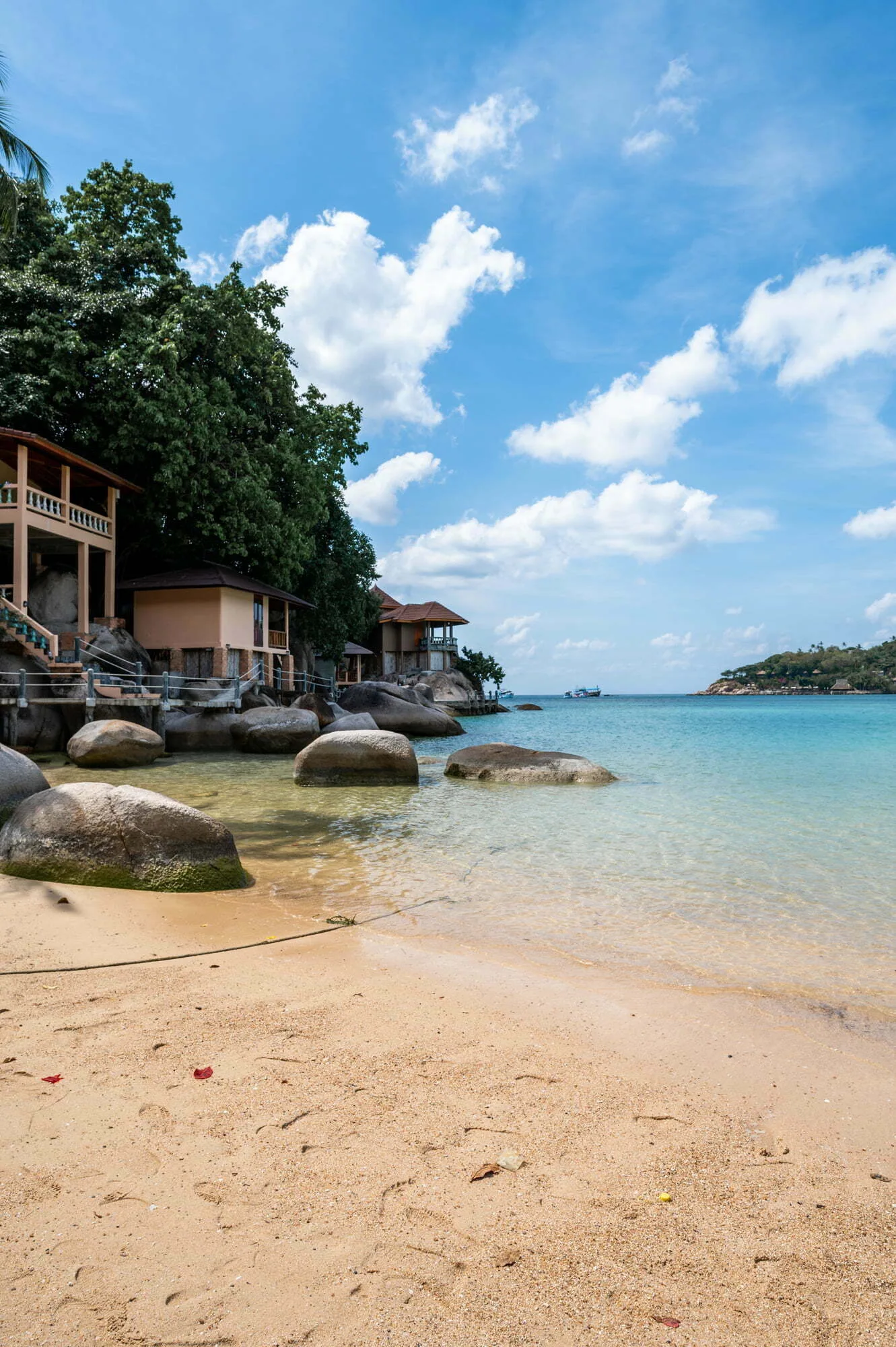 tatooh (1) koh tao