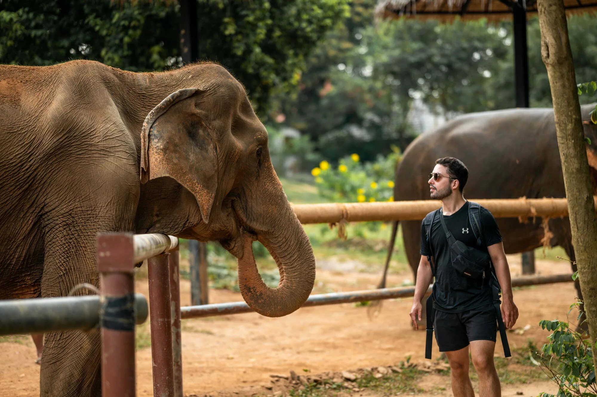 thailand rundreise 3 wochen (38) thailand rundreise 3 wochen