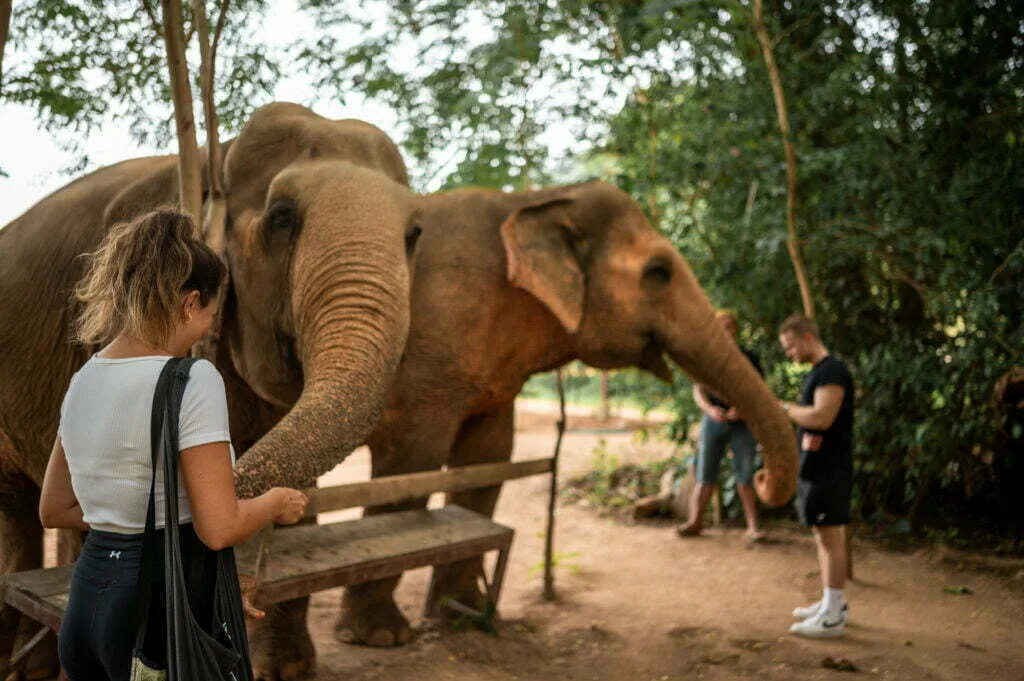 thailand rundreise 3 wochen