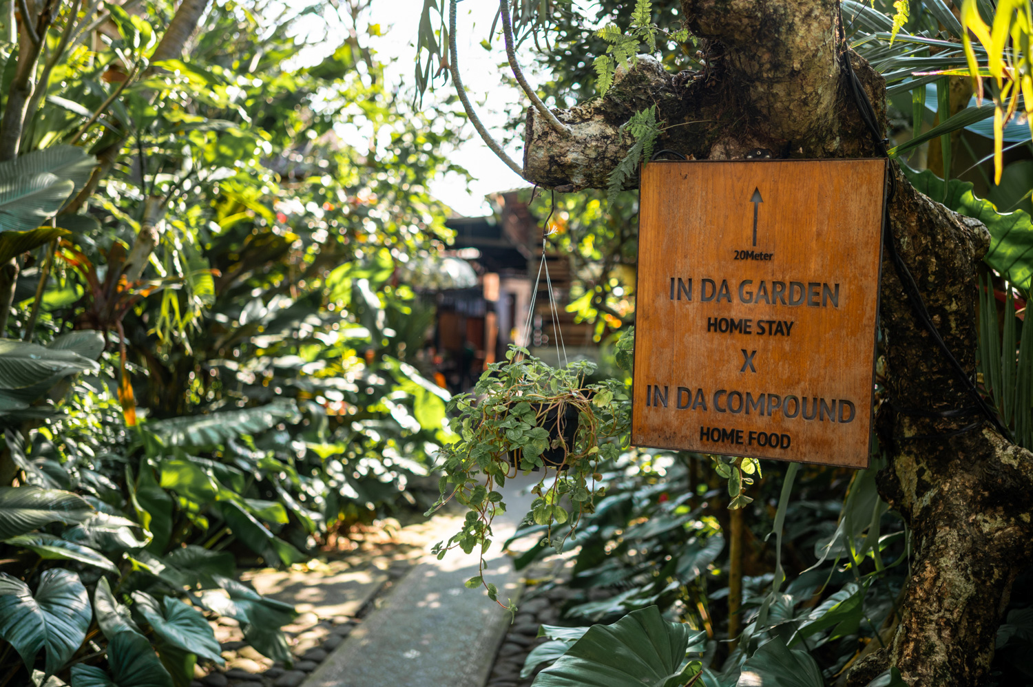 ubud hotels (6) Hinterhof des In Da Garden Homestay im Zentrum von Ubud