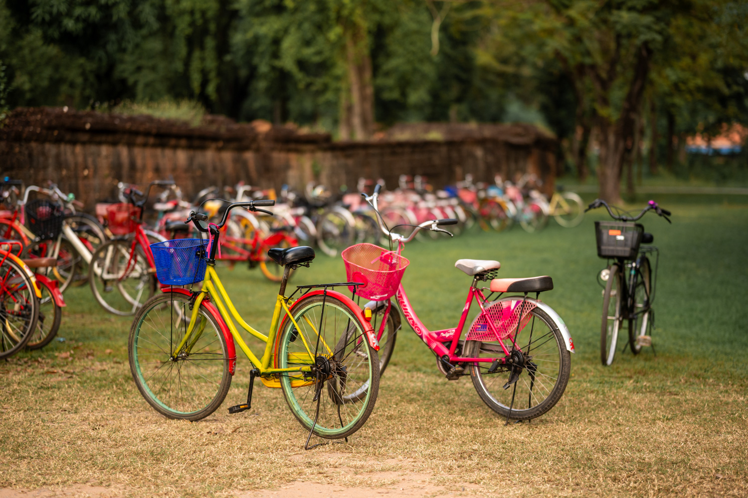 umherkommen sukhothai Fahrräder im Geschichtspark von Sukhothai