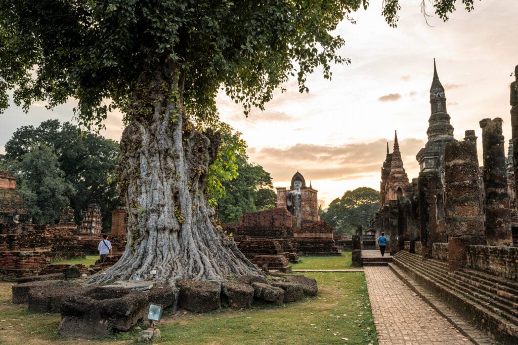 Bäume und Chedis im Wat Mahathat Sukhothai